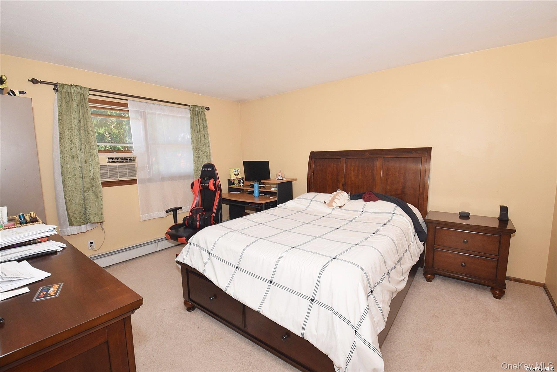 Single Family S 10th Street Nassau County, NY 11040, MLS-971409-12