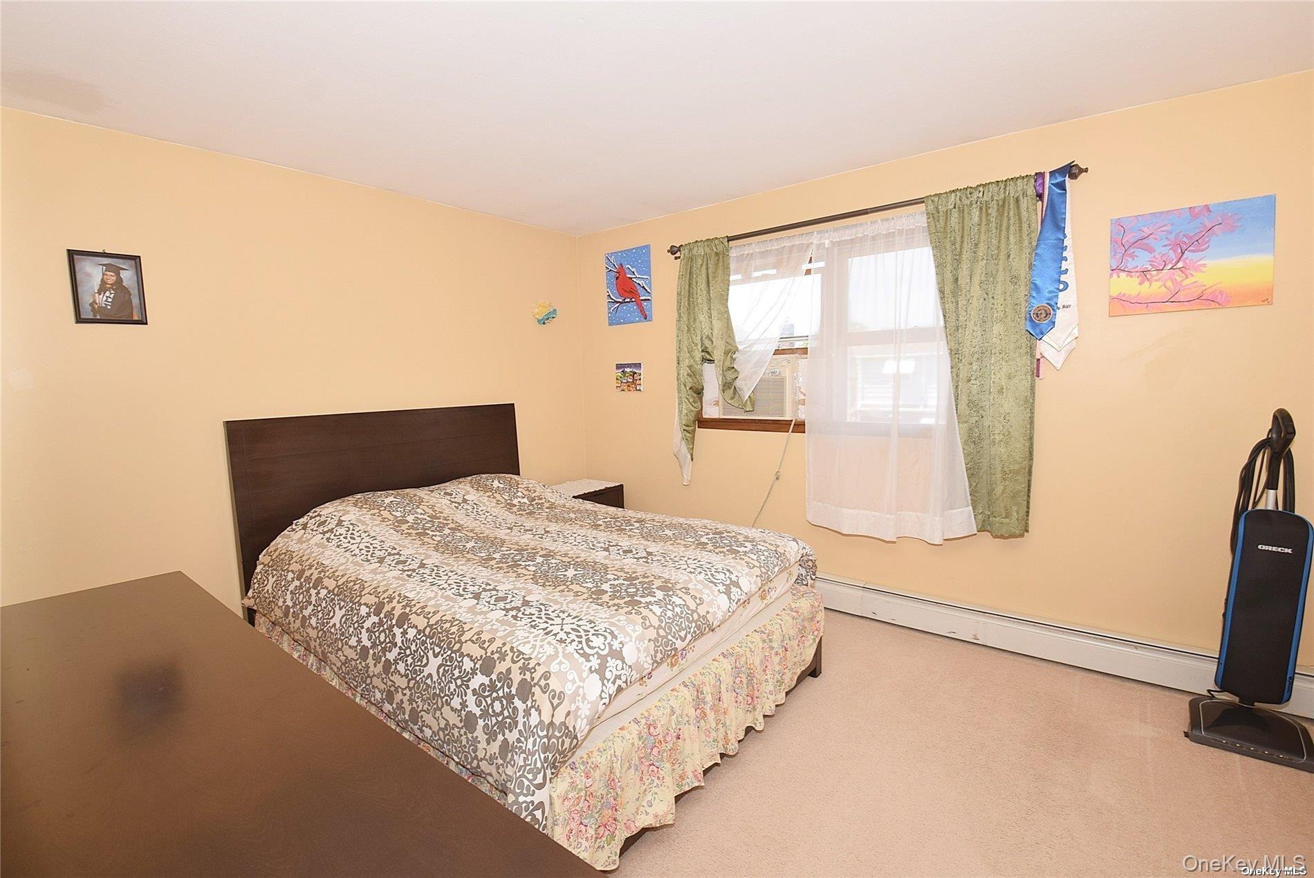 Single Family S 10th Street Nassau County, NY 11040, MLS-971409-13