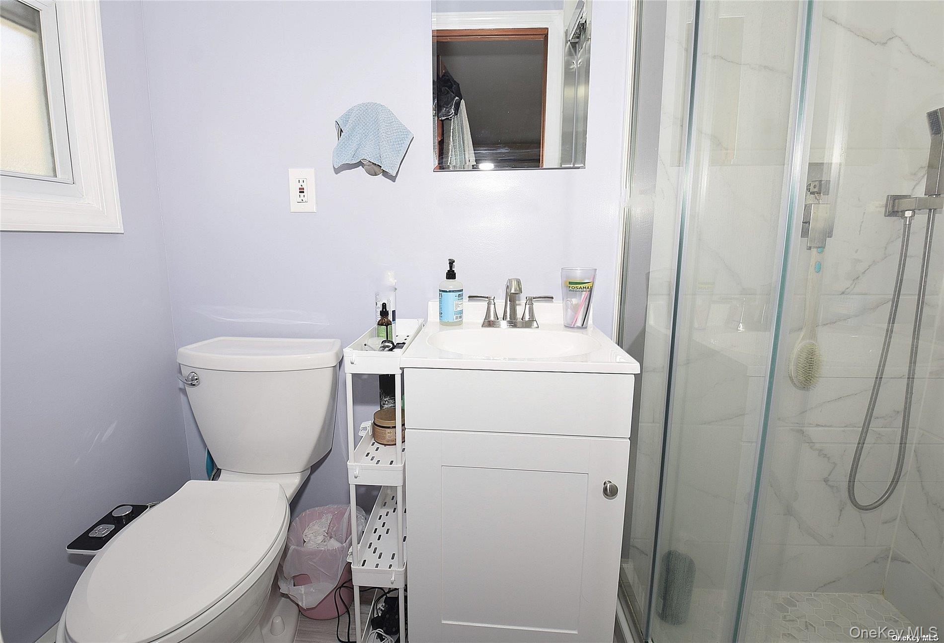 Single Family S 10th Street Nassau County, NY 11040, MLS-971409-16