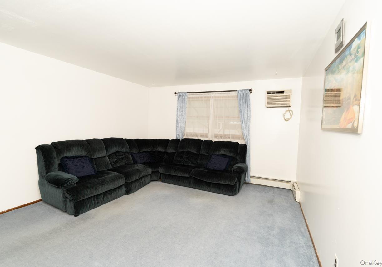 Single Family S 10th Street Nassau County, NY 11040, MLS-971409-26