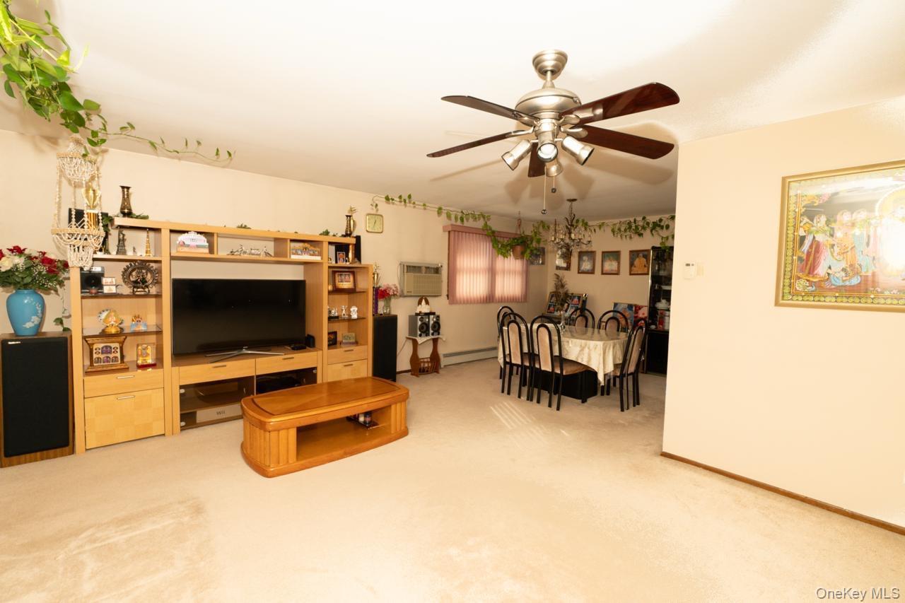 Single Family S 10th Street Nassau County, NY 11040, MLS-971409-3