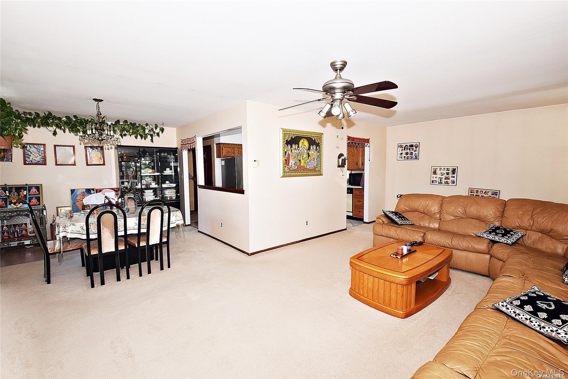 Single Family S 10th Street Nassau County, NY 11040, MLS-971409-7