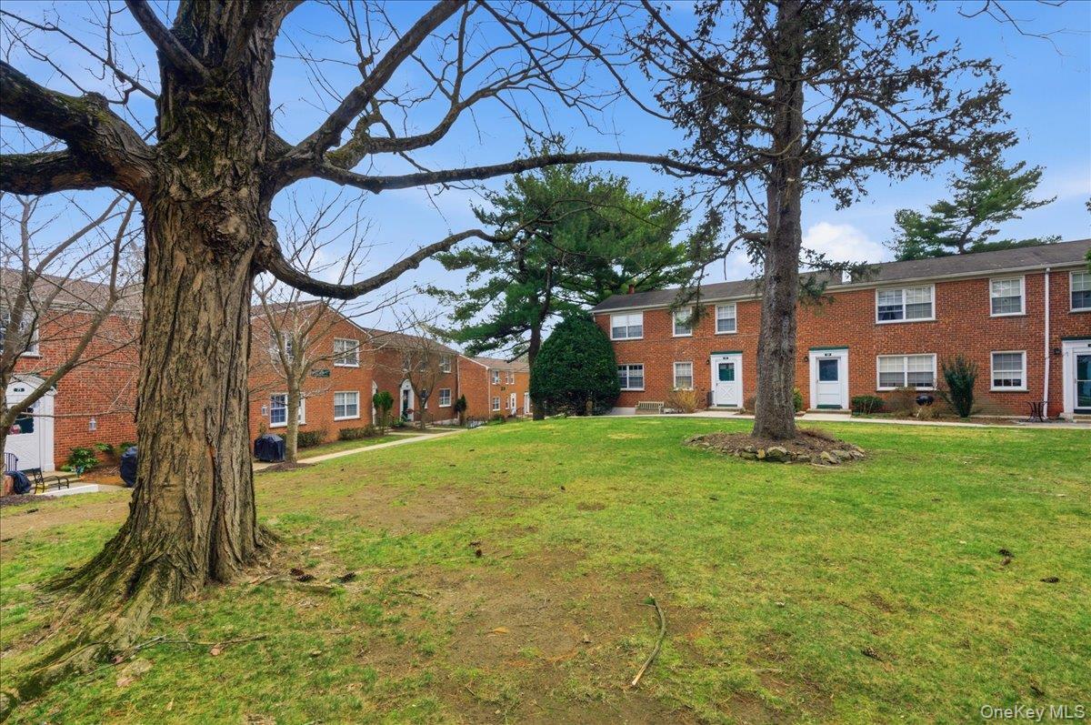 Coop Pine Wood  Westchester County, NY 10530, MLS-971433-2