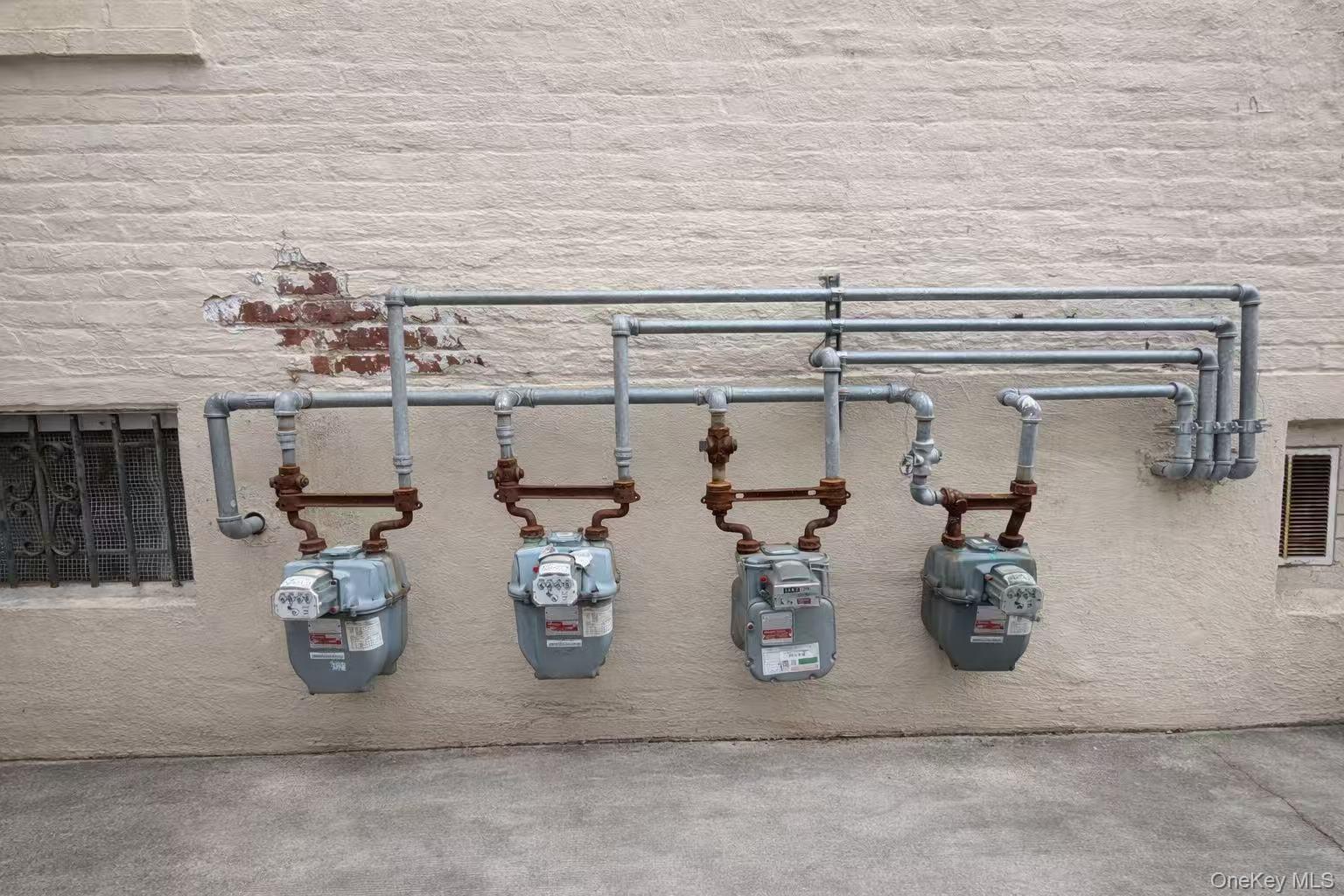 Single Family 107th  Queens, NY 11368, MLS-971445-8