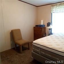 Single Family County Highway 22  Delaware County, NY 13856, MLS-971506-11