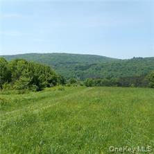 Single Family County Highway 22  Delaware County, NY 13856, MLS-971506-2