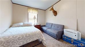 Single Family County Highway 22  Delaware County, NY 13856, MLS-971506-25