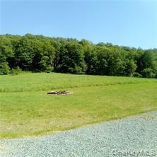 Single Family County Highway 22  Delaware County, NY 13856, MLS-971506-29