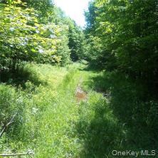 Single Family County Highway 22  Delaware County, NY 13856, MLS-971506-3