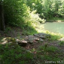 Single Family County Highway 22  Delaware County, NY 13856, MLS-971506-4