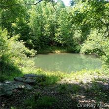 Single Family County Highway 22  Delaware County, NY 13856, MLS-971506-5