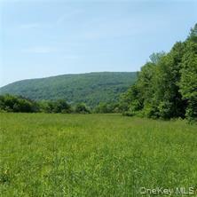Single Family County Highway 22  Delaware County, NY 13856, MLS-971506-6