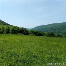 Single Family County Highway 22  Delaware County, NY 13856, MLS-971506-7