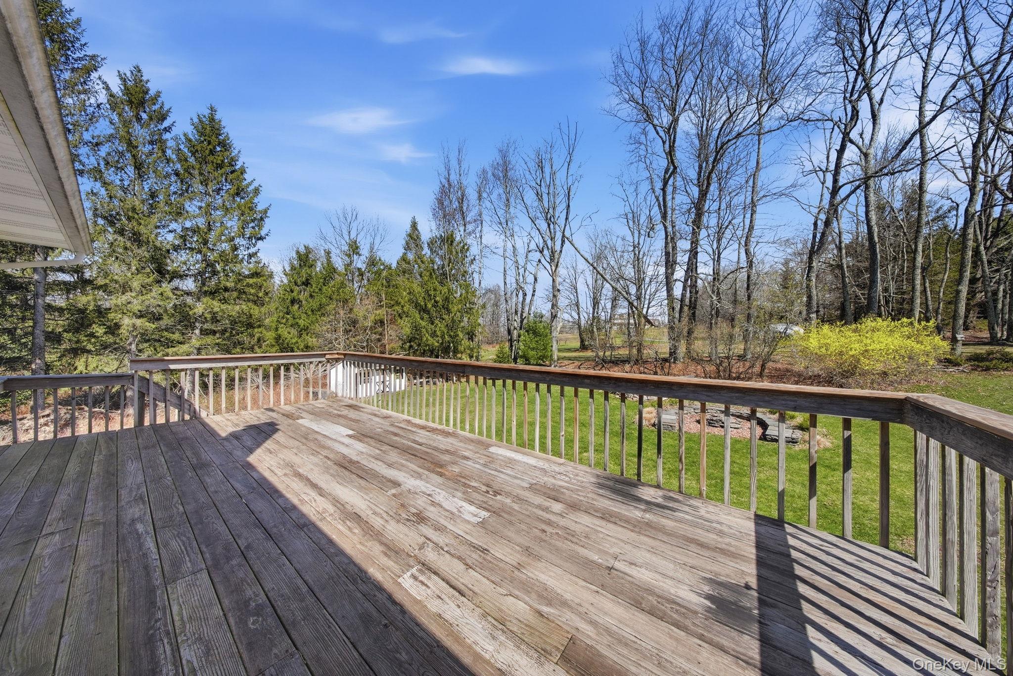 Single Family Blue Spruce  Sullivan County, NY 12701, MLS-971522-37