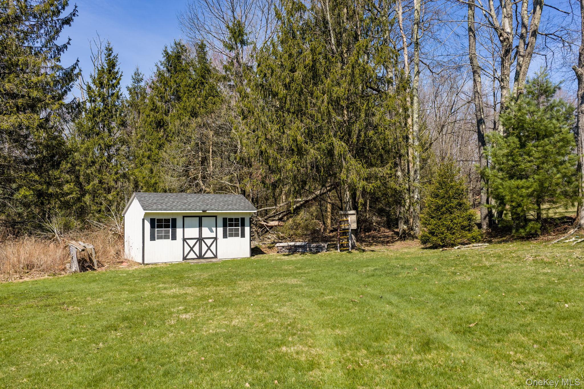 Single Family Blue Spruce  Sullivan County, NY 12701, MLS-971522-40