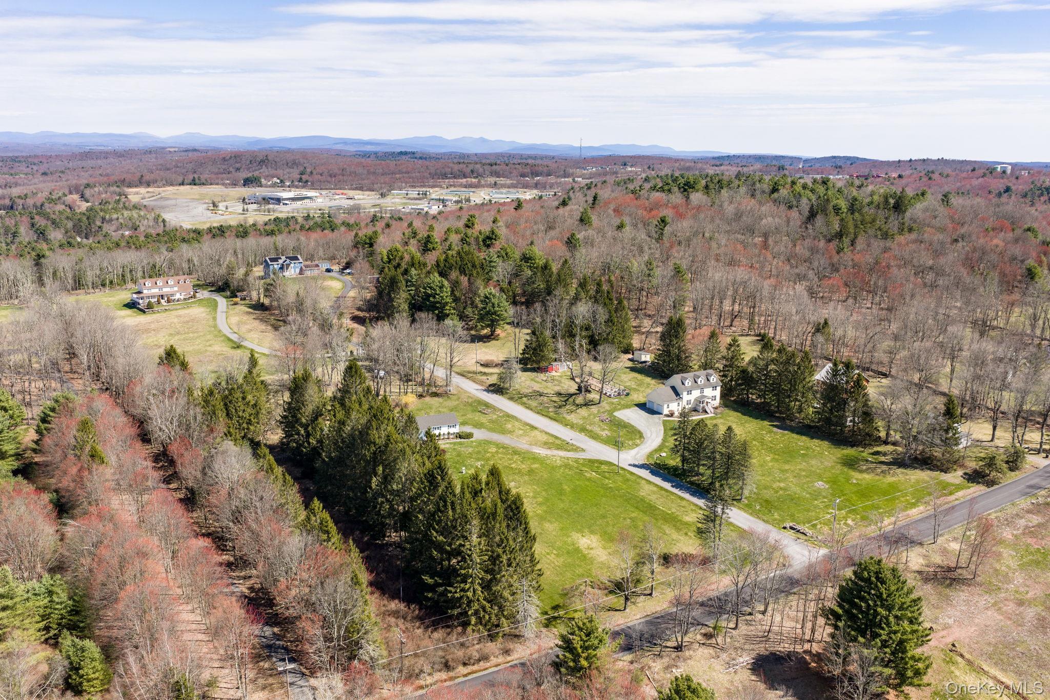 Single Family Blue Spruce  Sullivan County, NY 12701, MLS-971522-46