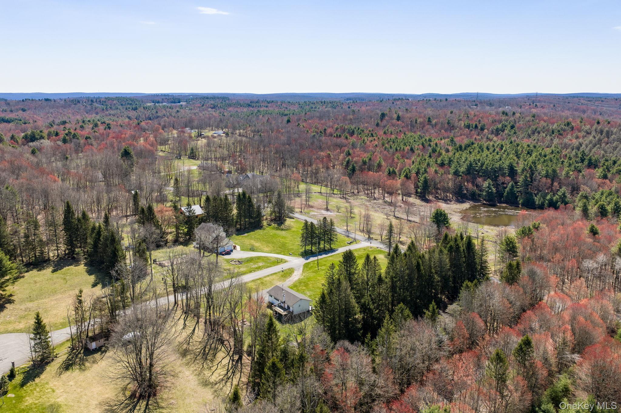 Single Family Blue Spruce  Sullivan County, NY 12701, MLS-971522-47