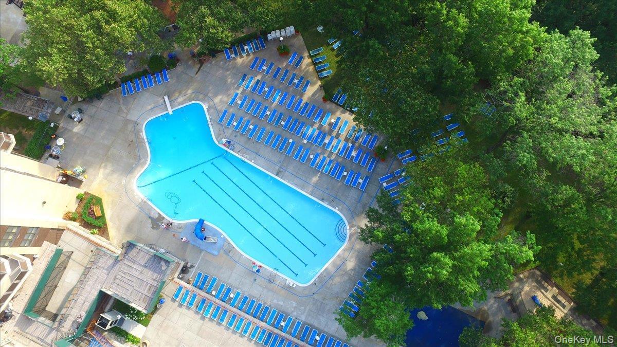 Coop 215th  Queens, NY 11360, MLS-971539-30