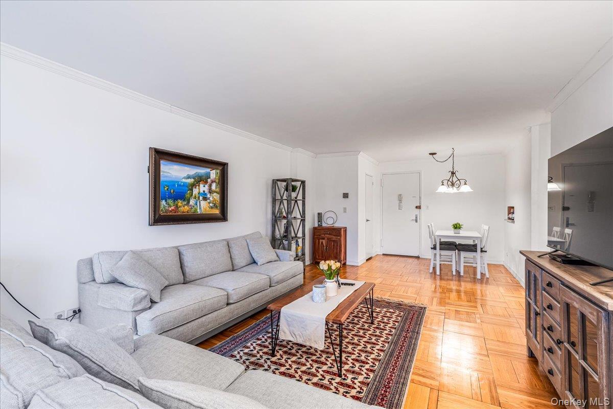 Coop 215th  Queens, NY 11360, MLS-971539-7