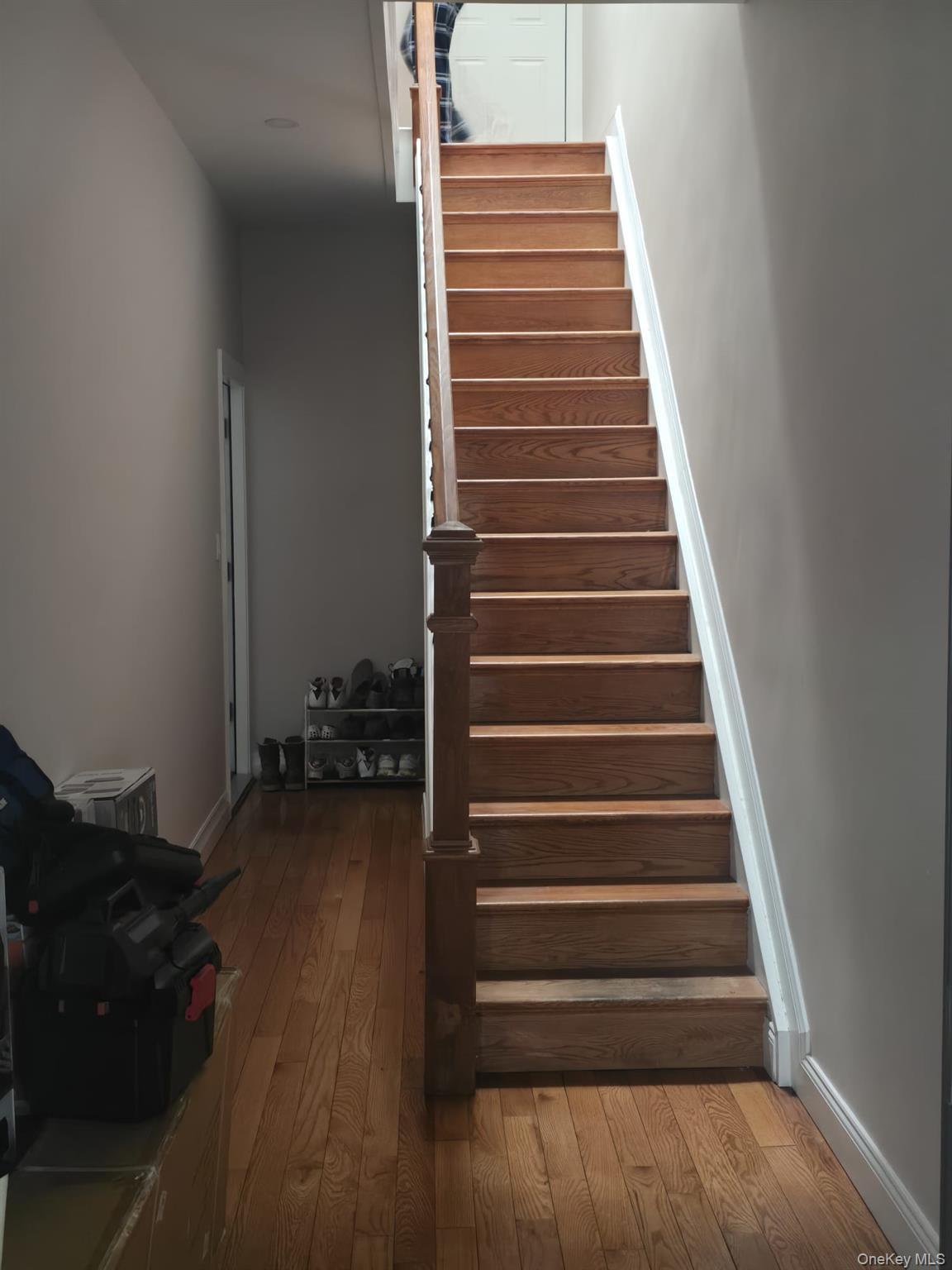 Single Family 107th  Queens, NY 11416, MLS-971550-10