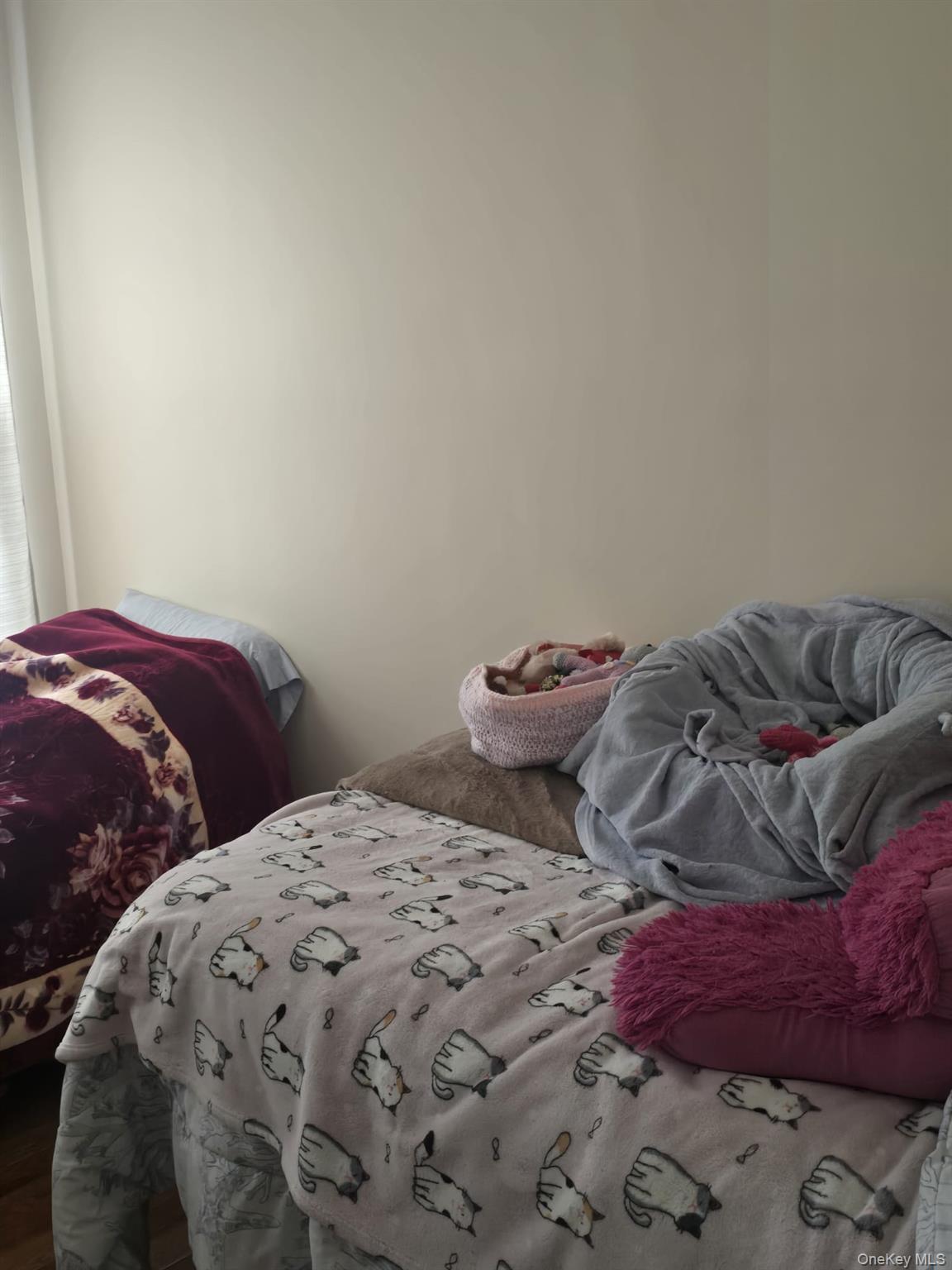 Single Family 107th  Queens, NY 11416, MLS-971550-19