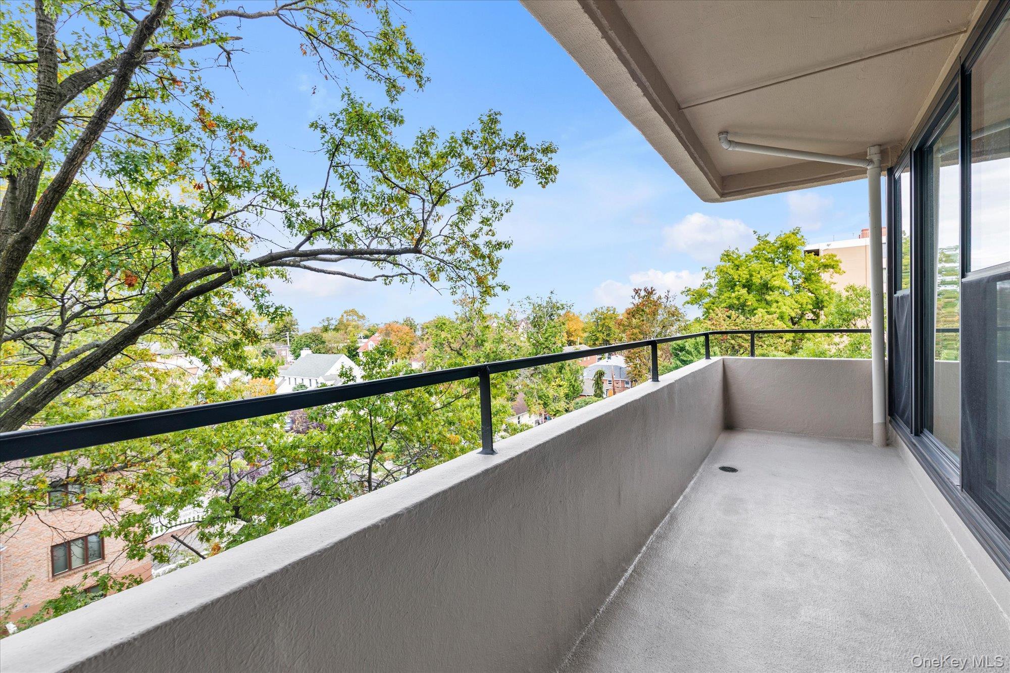 Coop 162  Queens, NY 11357, MLS-971570-12