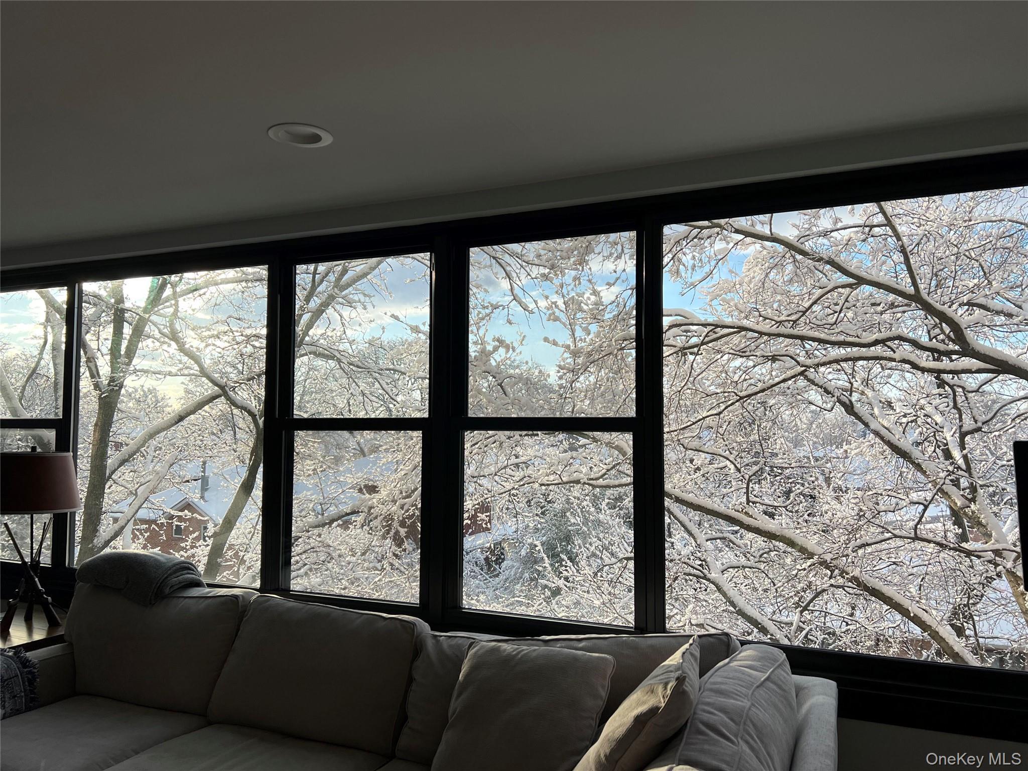 Coop 162  Queens, NY 11357, MLS-971570-17