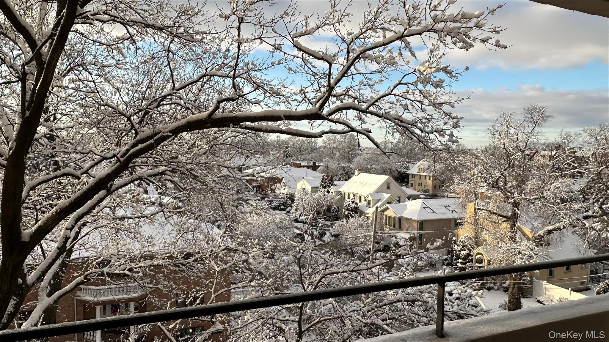 Coop 162  Queens, NY 11357, MLS-971570-18