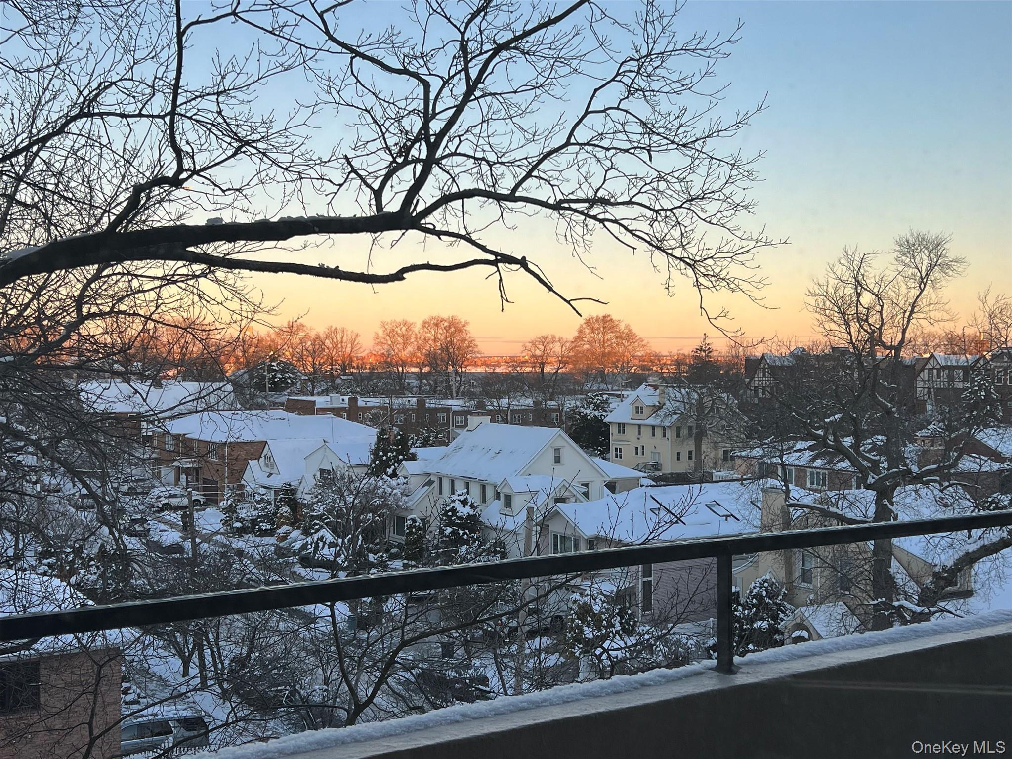 Coop 162  Queens, NY 11357, MLS-971570-19