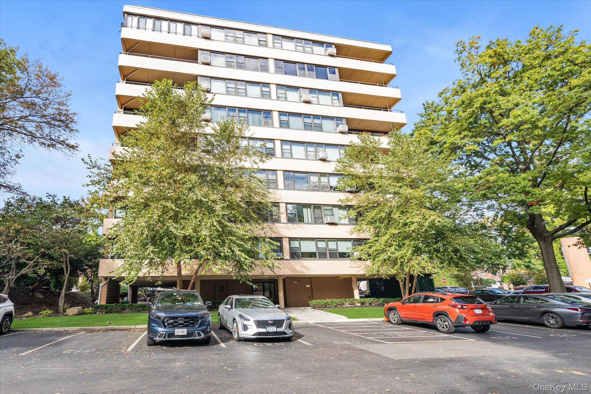 Coop 162  Queens, NY 11357, MLS-971570-2