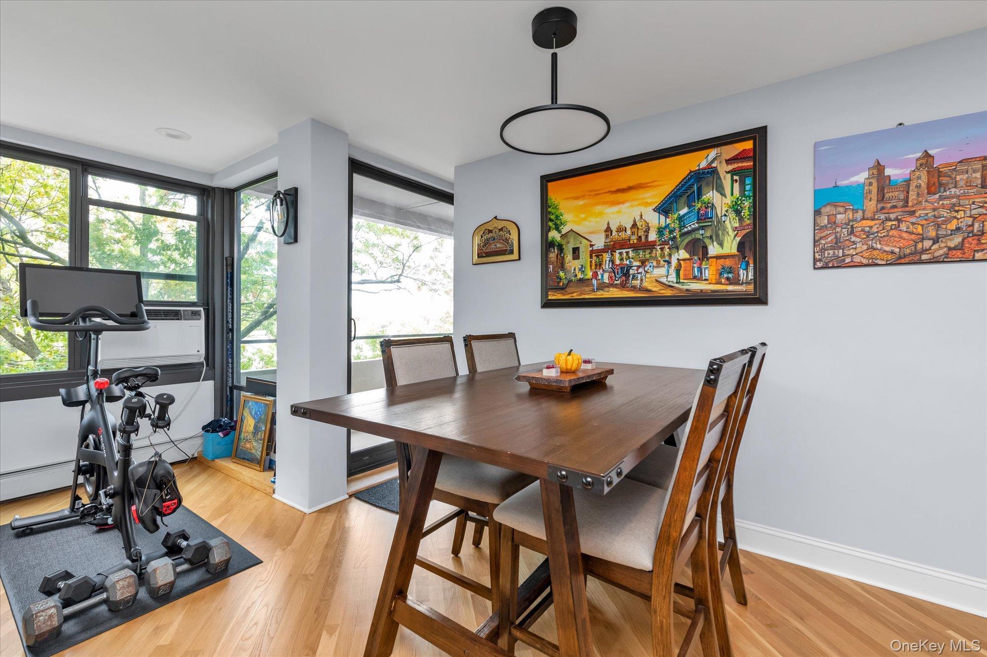 Coop 162  Queens, NY 11357, MLS-971570-5