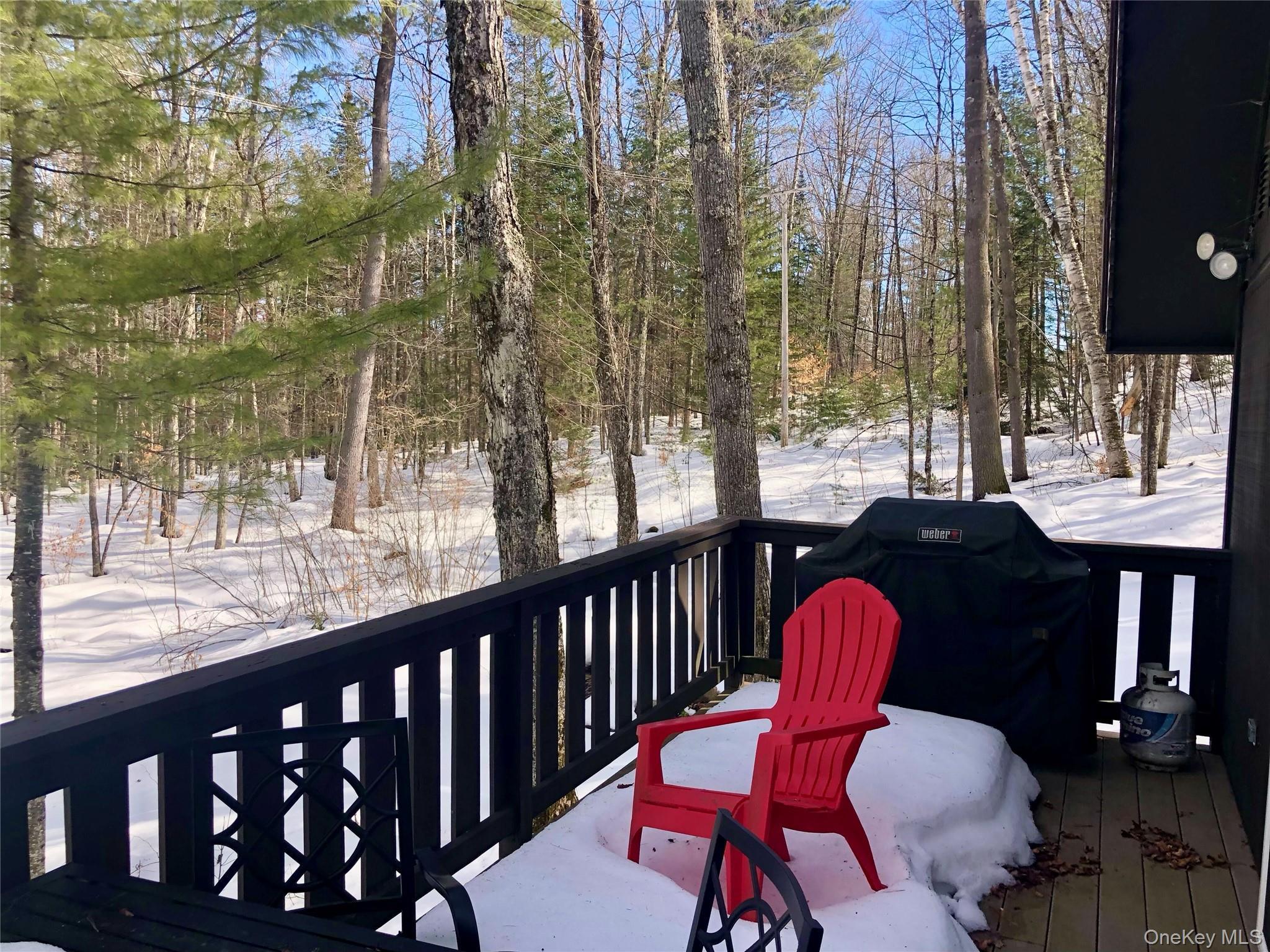 Single Family Park  Out Of Area, NY 12843, MLS-971581-16