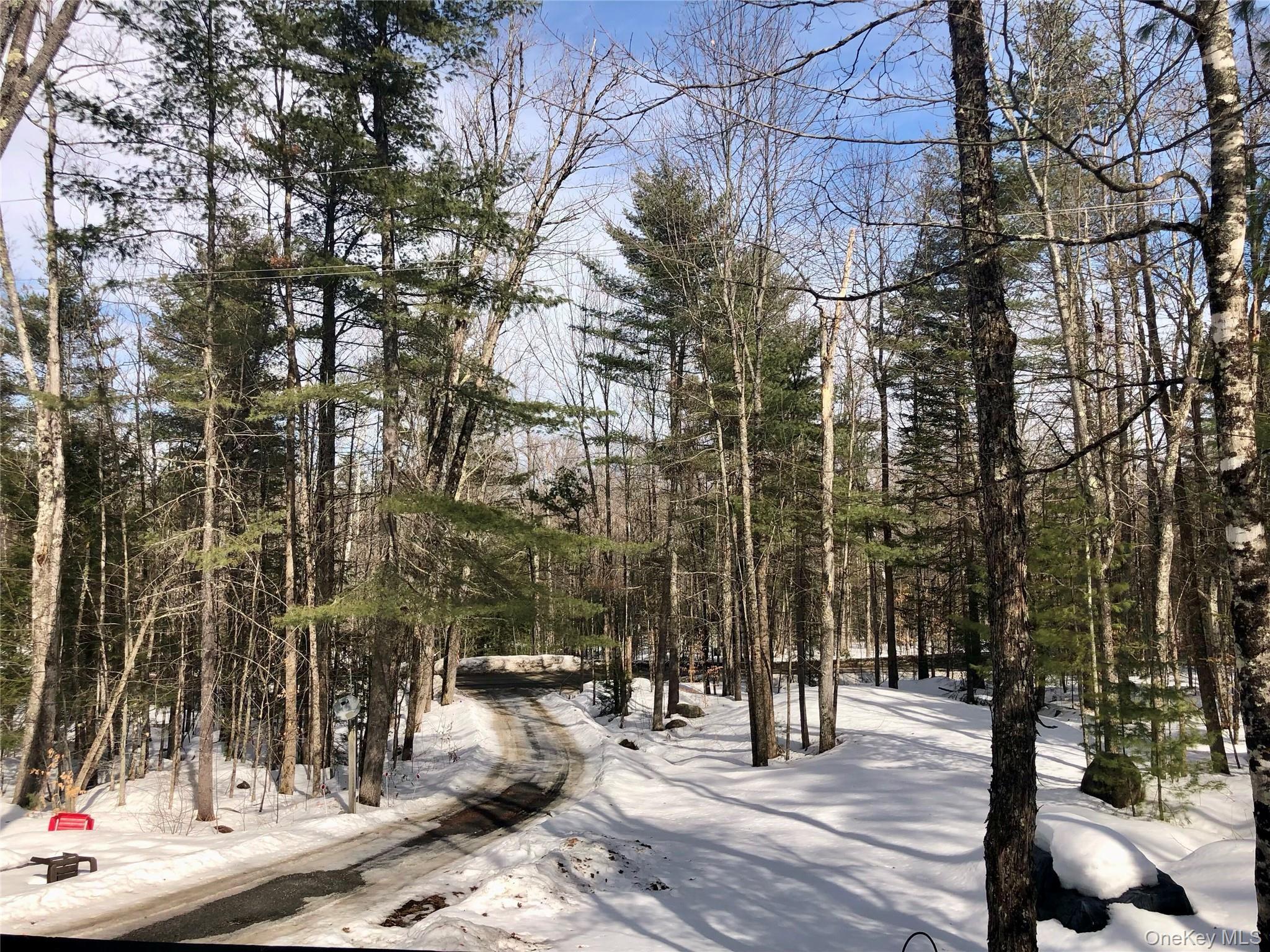 Single Family Park  Out Of Area, NY 12843, MLS-971581-17