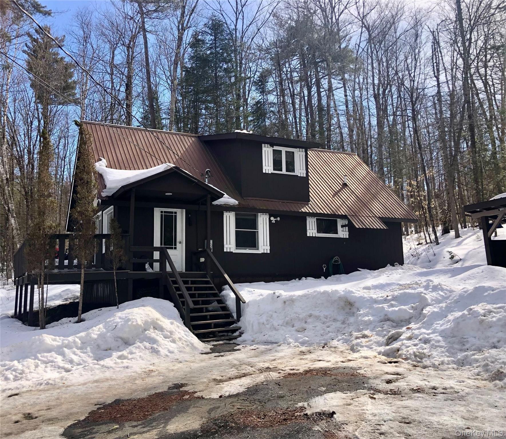 Single Family Park  Out Of Area, NY 12843, MLS-971581-3