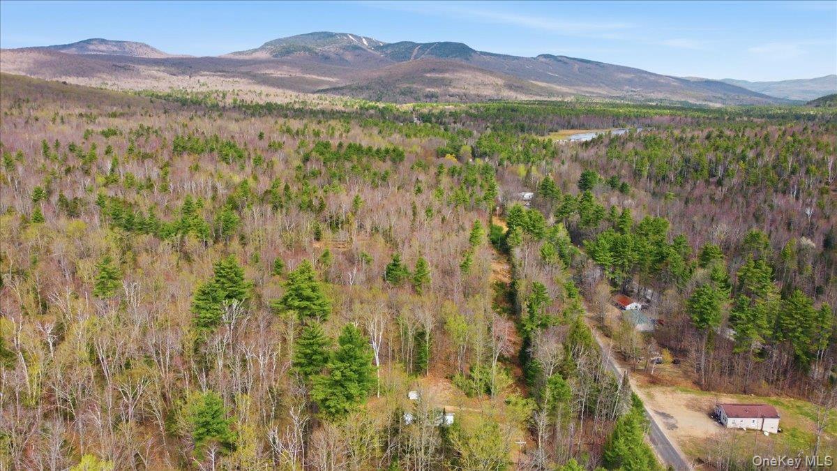 Single Family Park  Out Of Area, NY 12843, MLS-971581-38