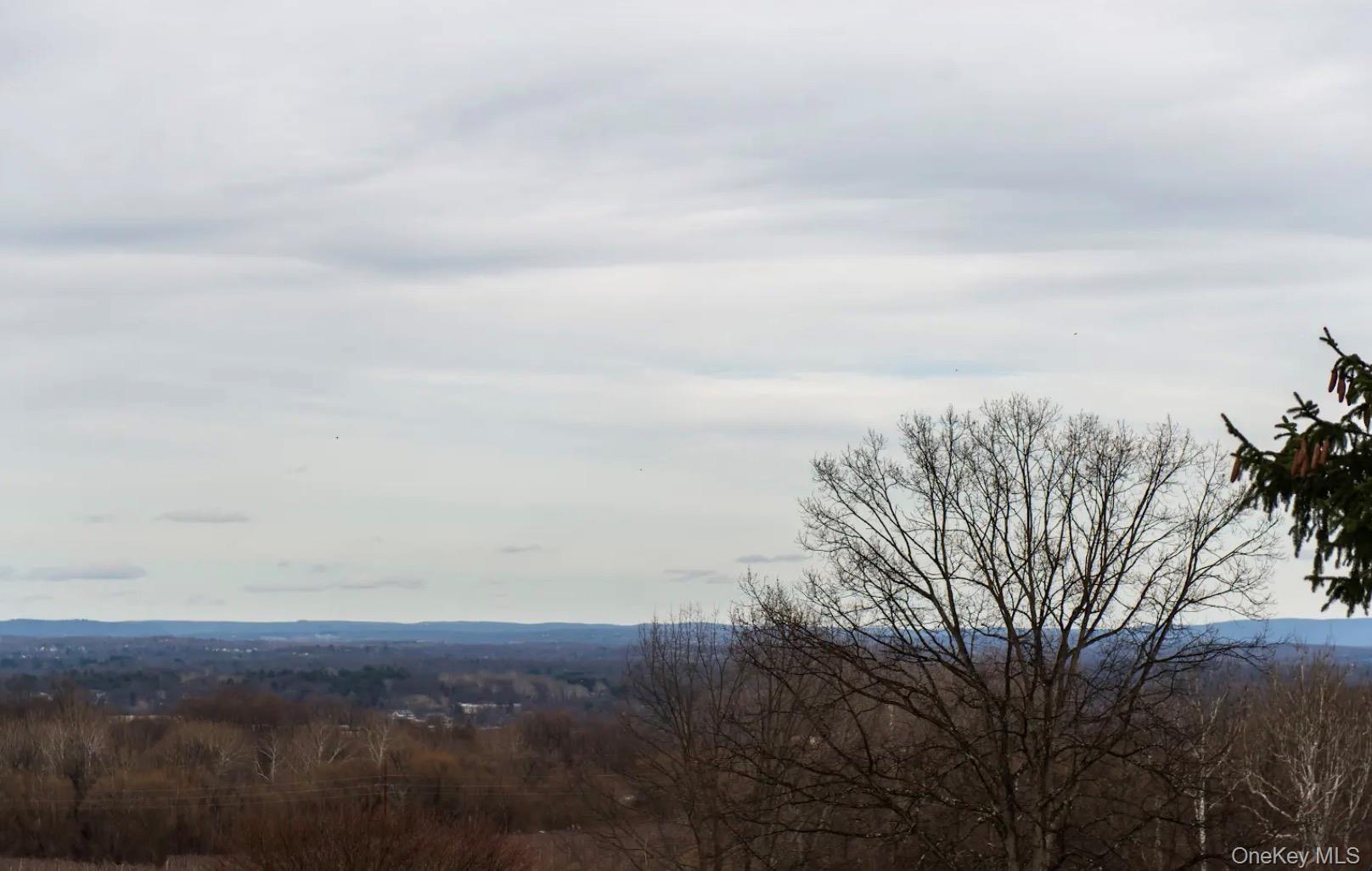 Single Family Willow Tree  Ulster County, NY 12547, MLS-971582-20