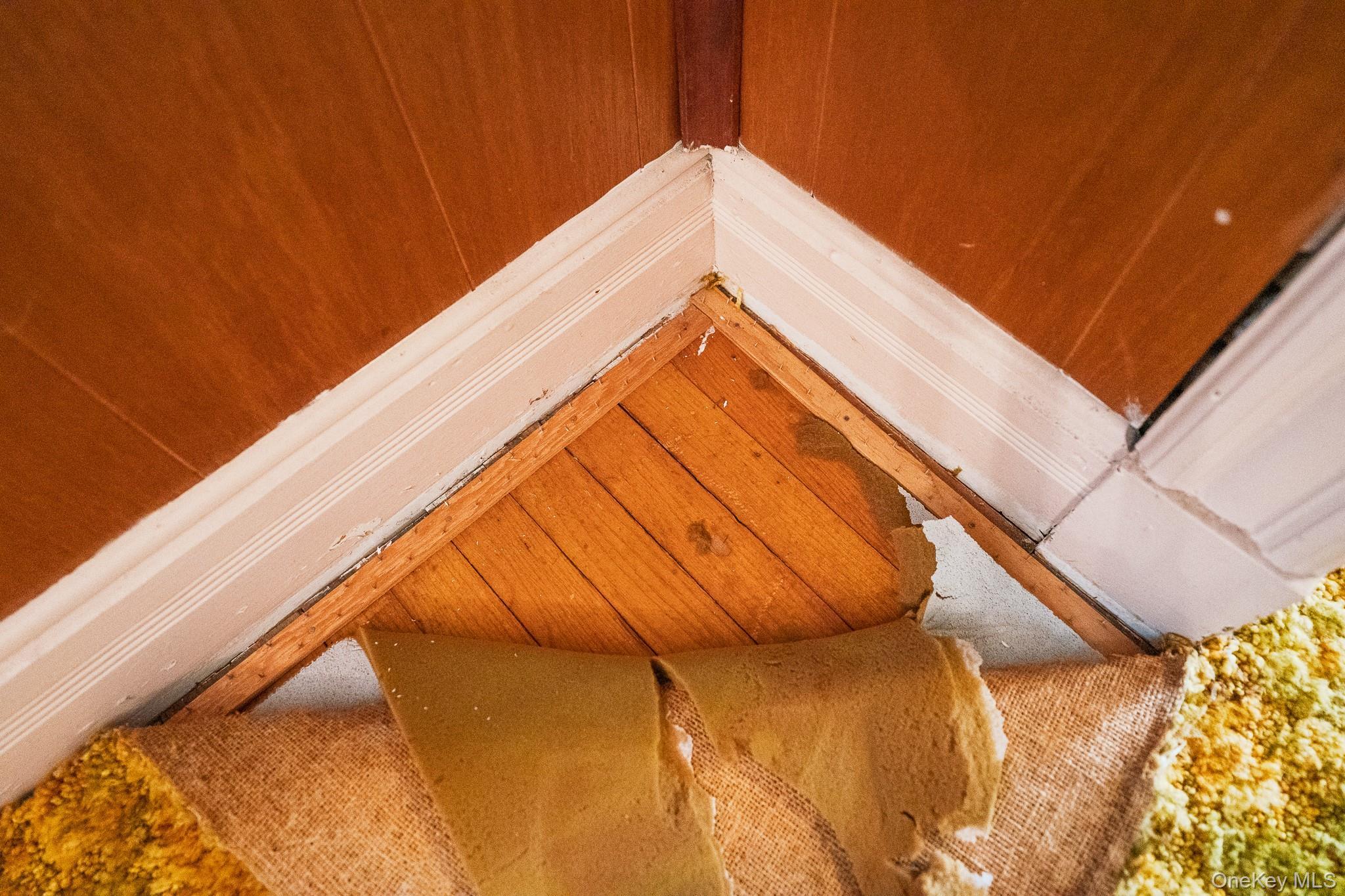 Single Family Chestnut  Ulster County, NY 12401, MLS-971603-23