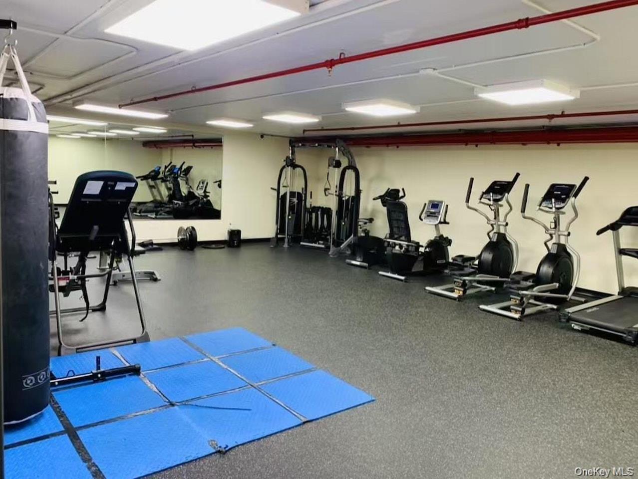 Condo 37th  Queens, NY 11354, MLS-971618-13