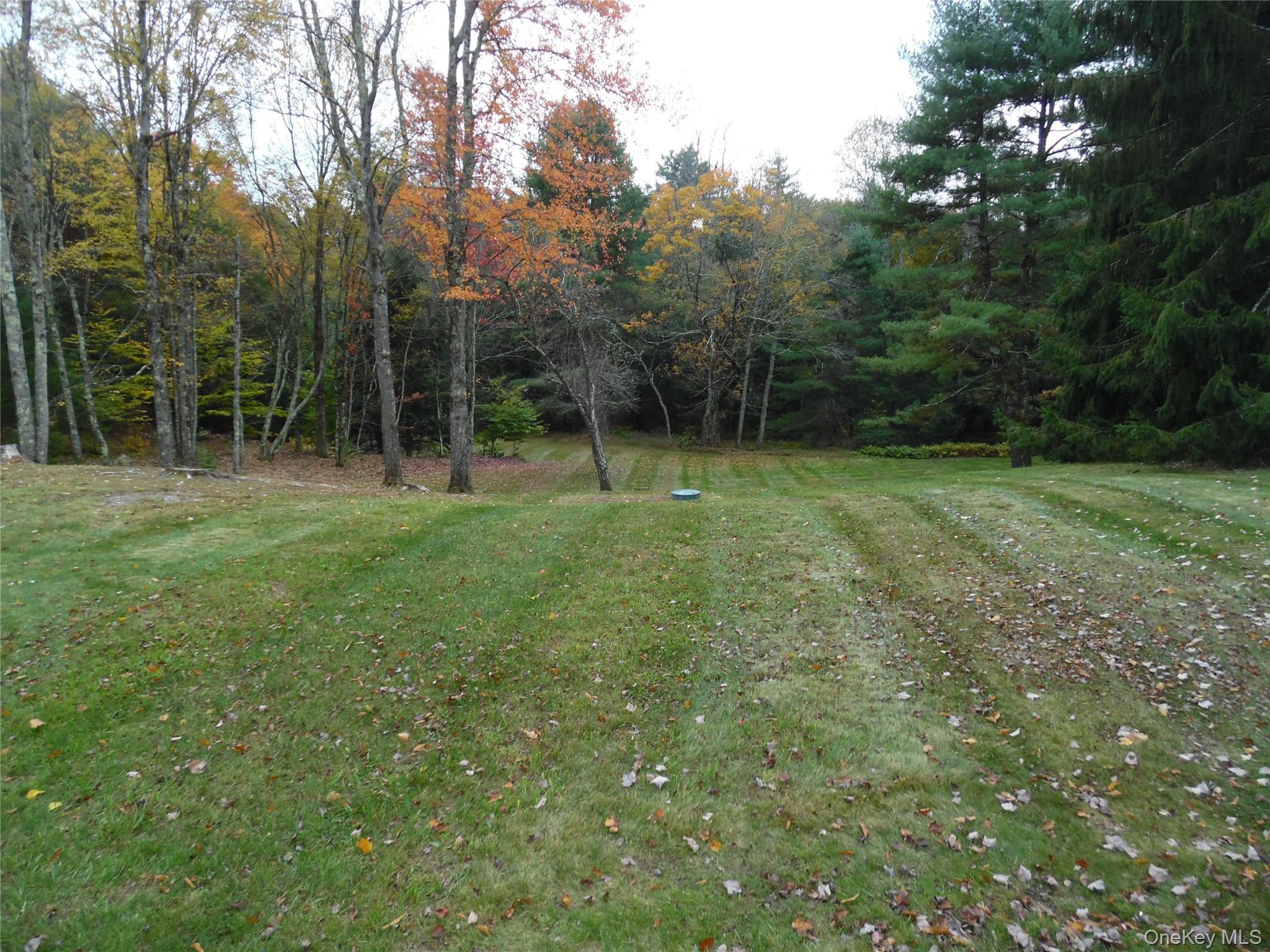 Single Family Glen Wild  Sullivan County, NY 12738, MLS-971630-10