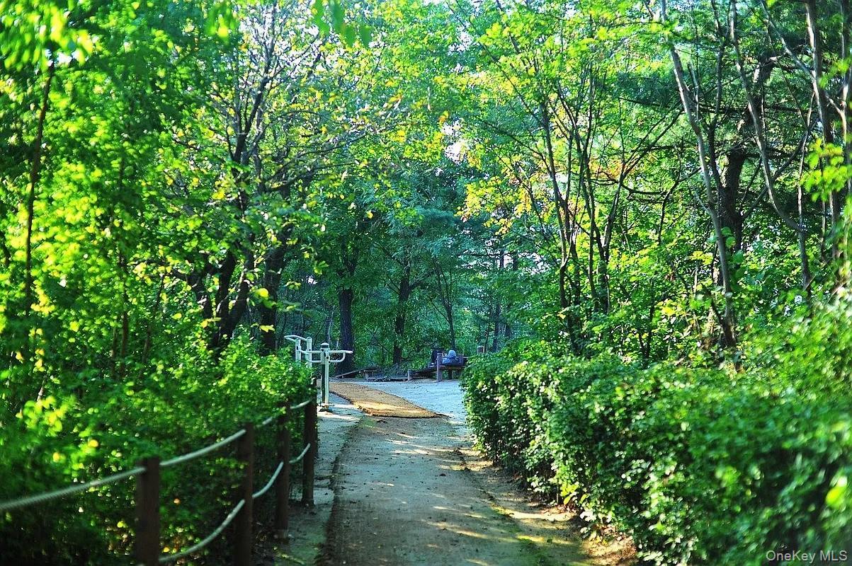 Coop Woodhaven  Queens, NY 11421, MLS-971632-19