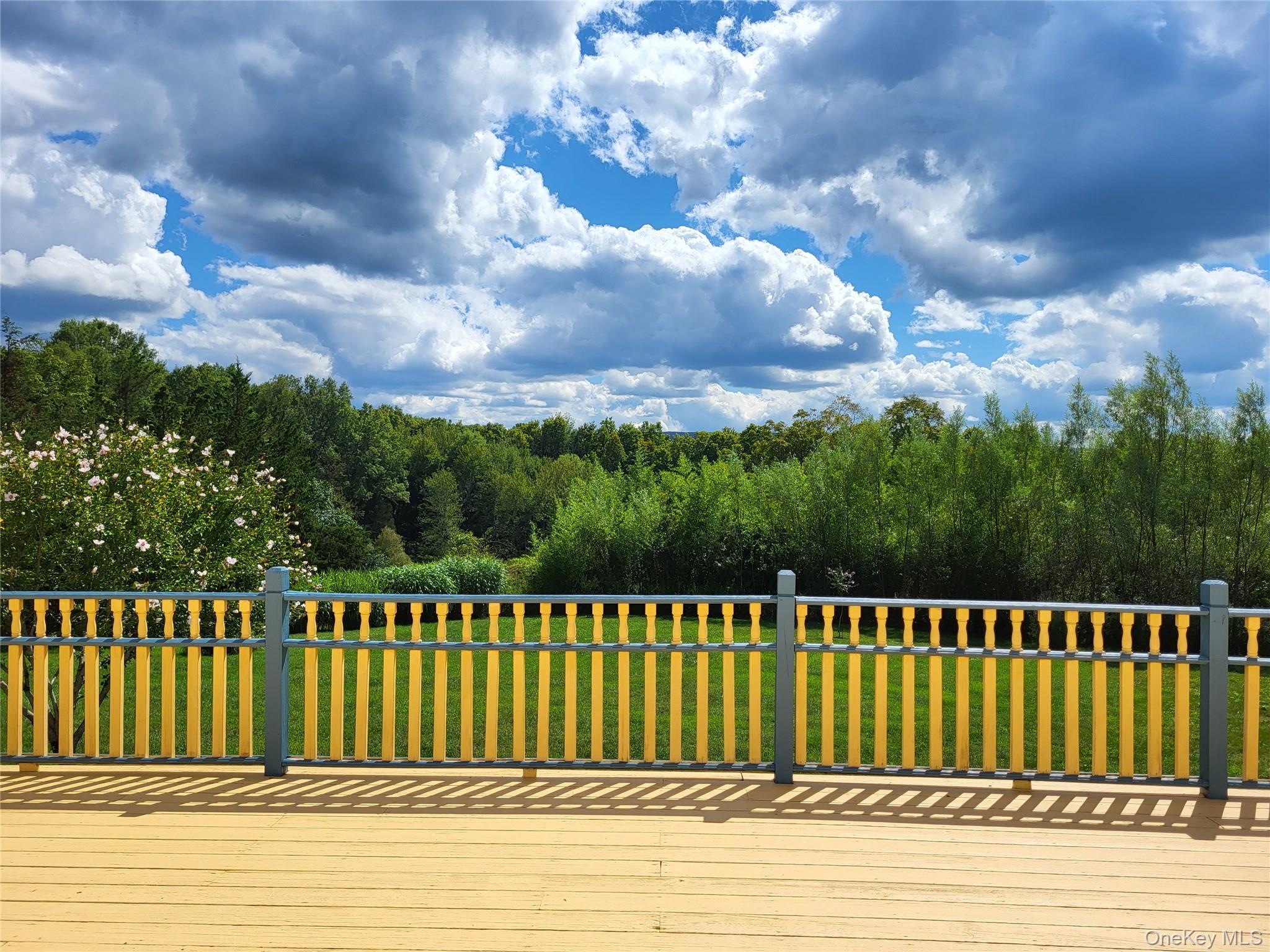 Single Family Sesame  Orange County, NY 12575, MLS-971635-35