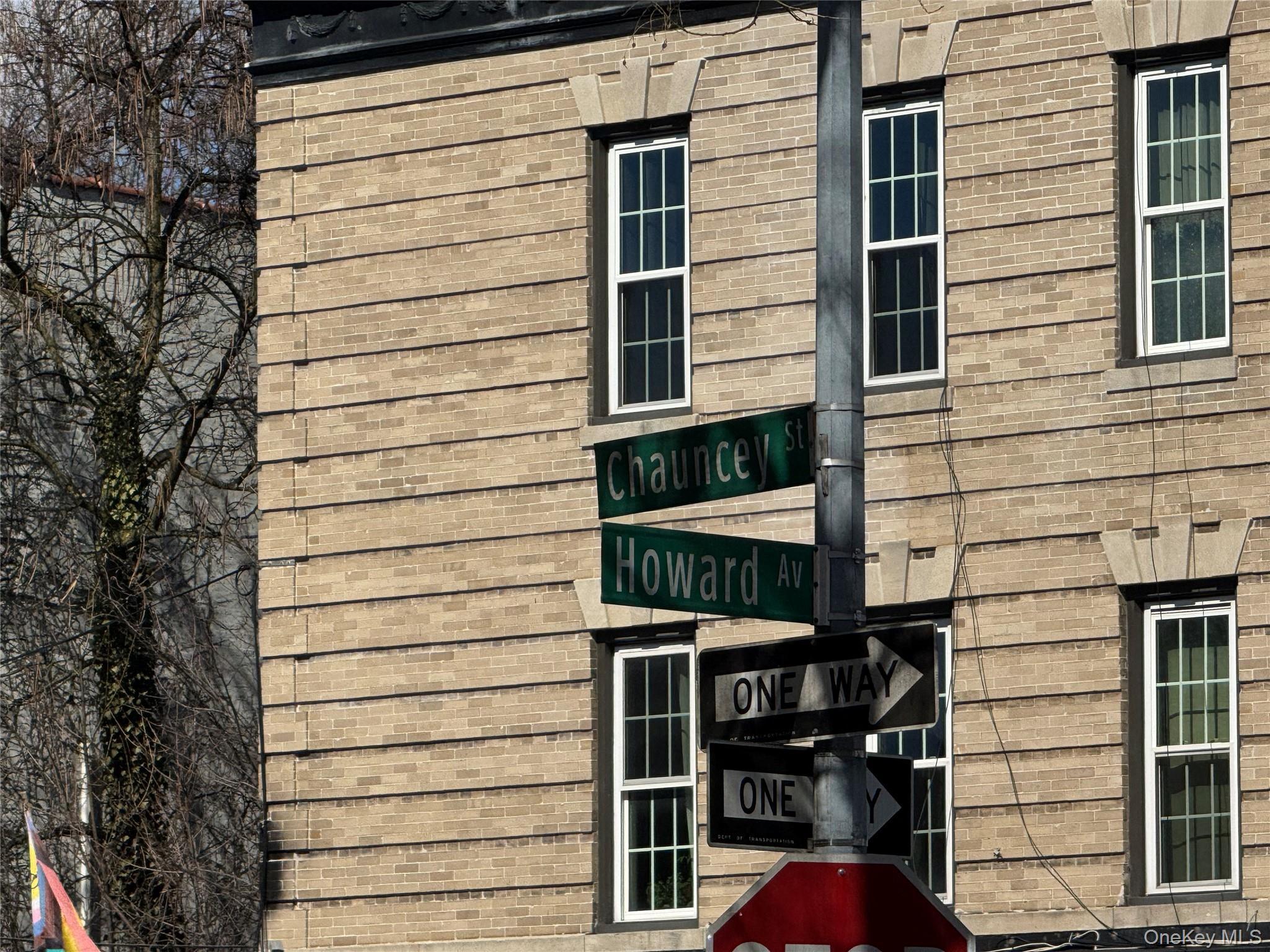 Condo Chauncey  Brooklyn, NY 11233, MLS-971737-10