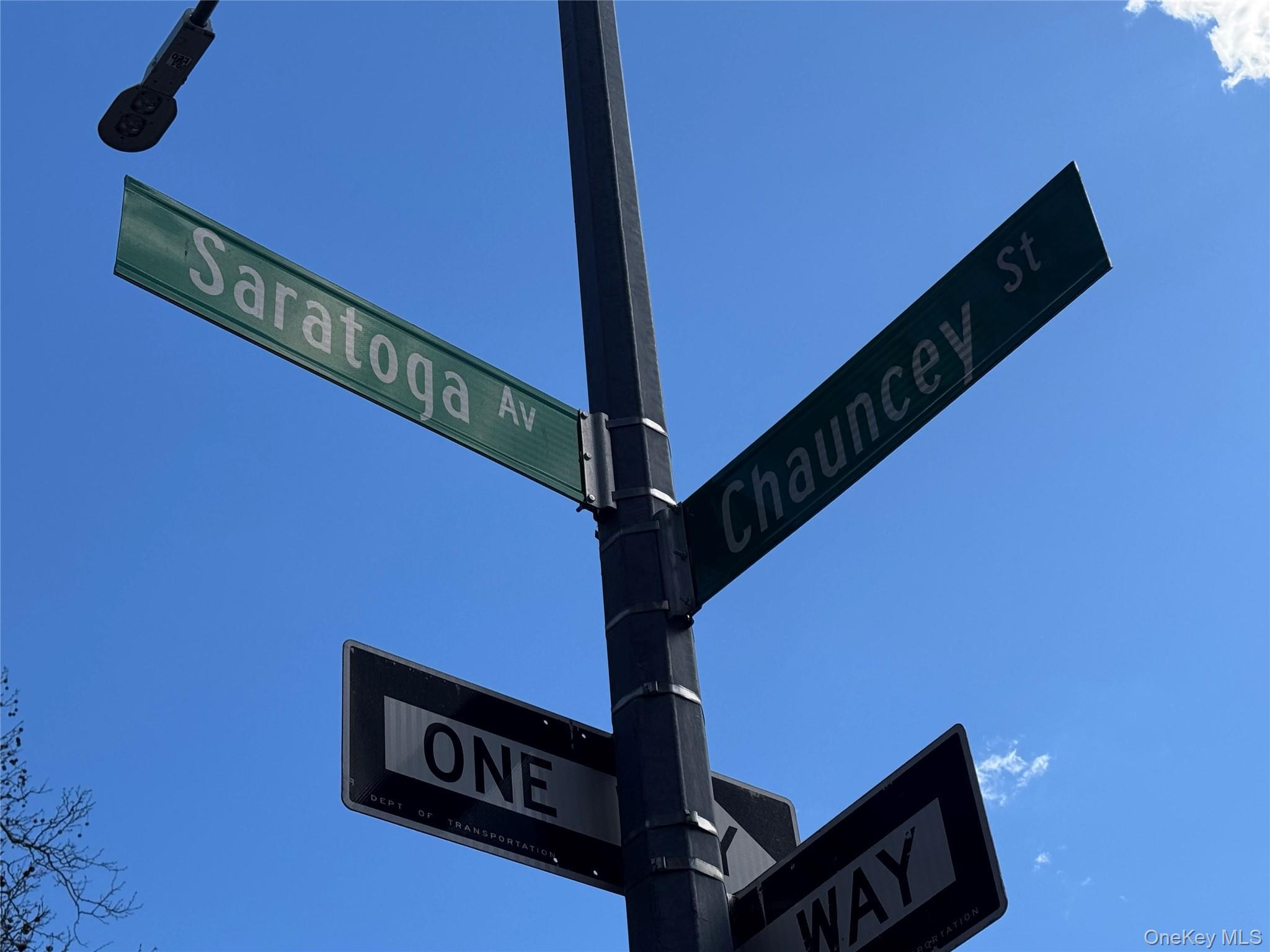 Condo Chauncey  Brooklyn, NY 11233, MLS-971737-9