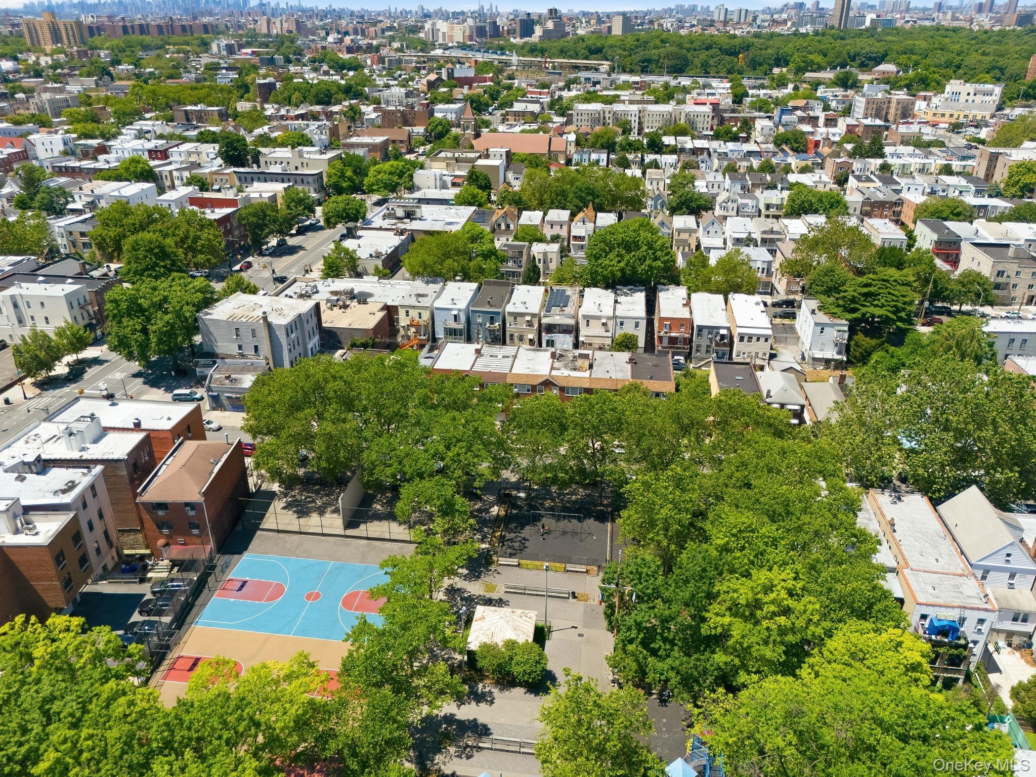 Single Family Delancey Place  Bronx, NY 10462, MLS-971742-41
