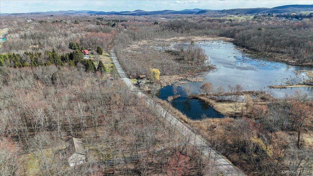 Single Family Ohioville  Ulster County, NY 12561, MLS-971759-41