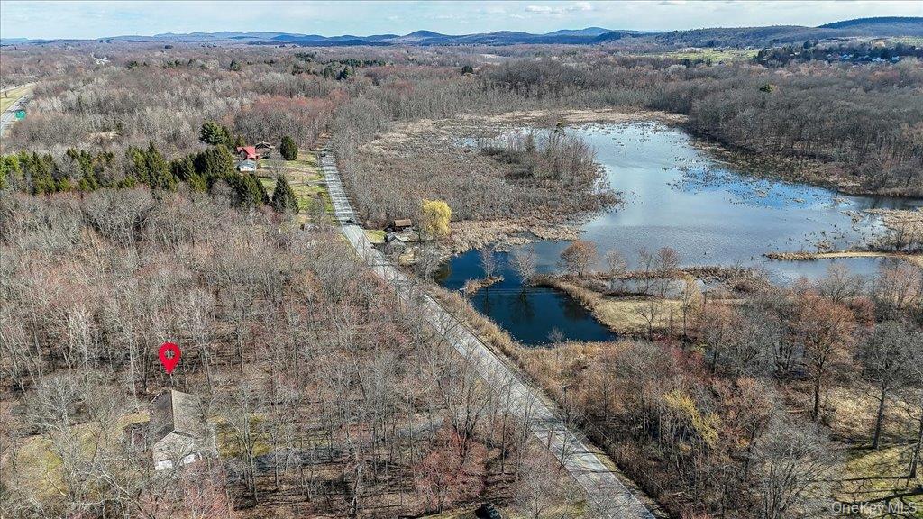 Single Family Ohioville  Ulster County, NY 12561, MLS-971759-43