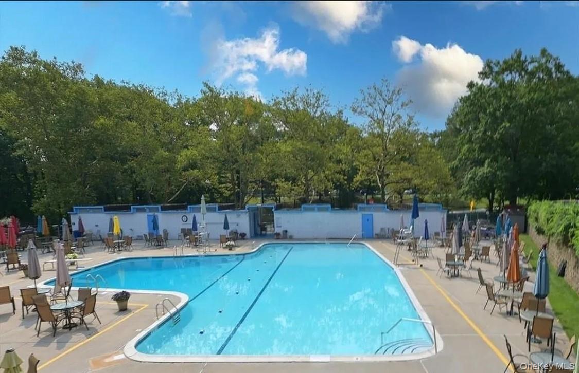 Coop Springfield  Queens, NY 11427, MLS-971793-2