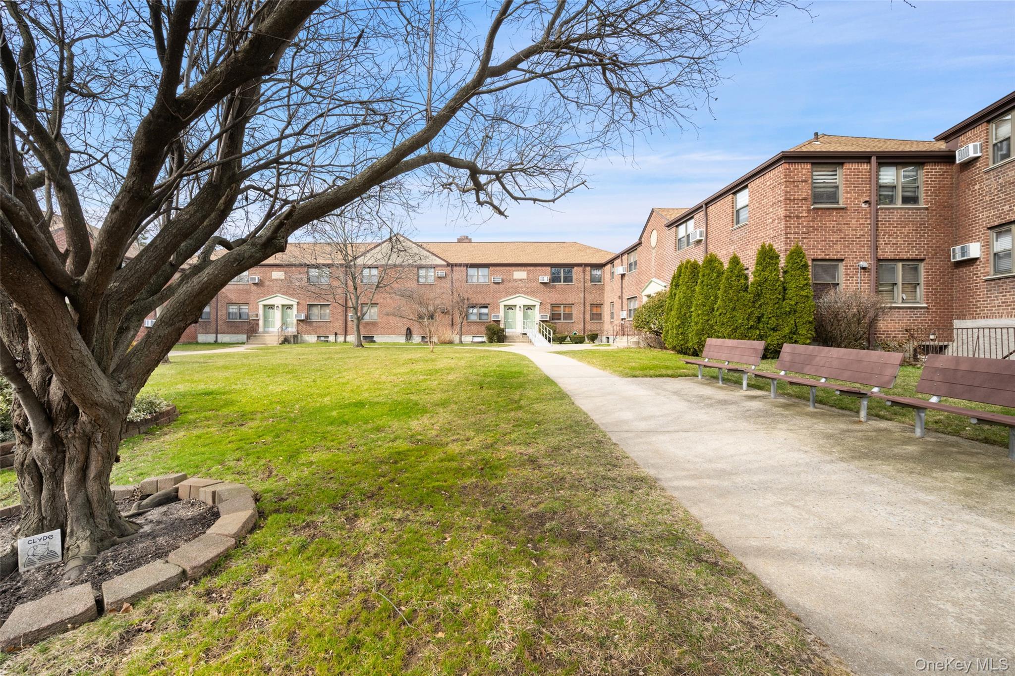 Coop 57th  Queens, NY 11362, MLS-971852-18