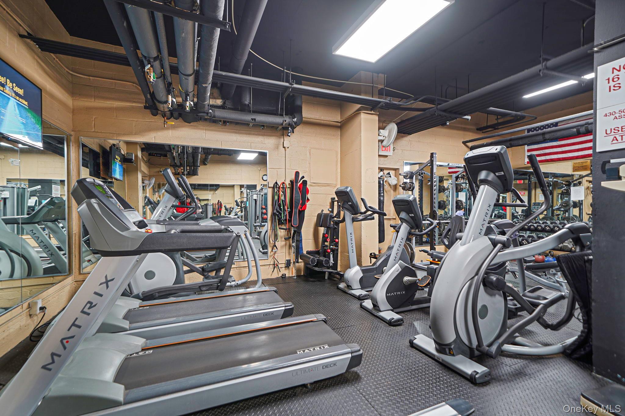 Coop Shore  Nassau County, NY 11561, MLS-971935-16