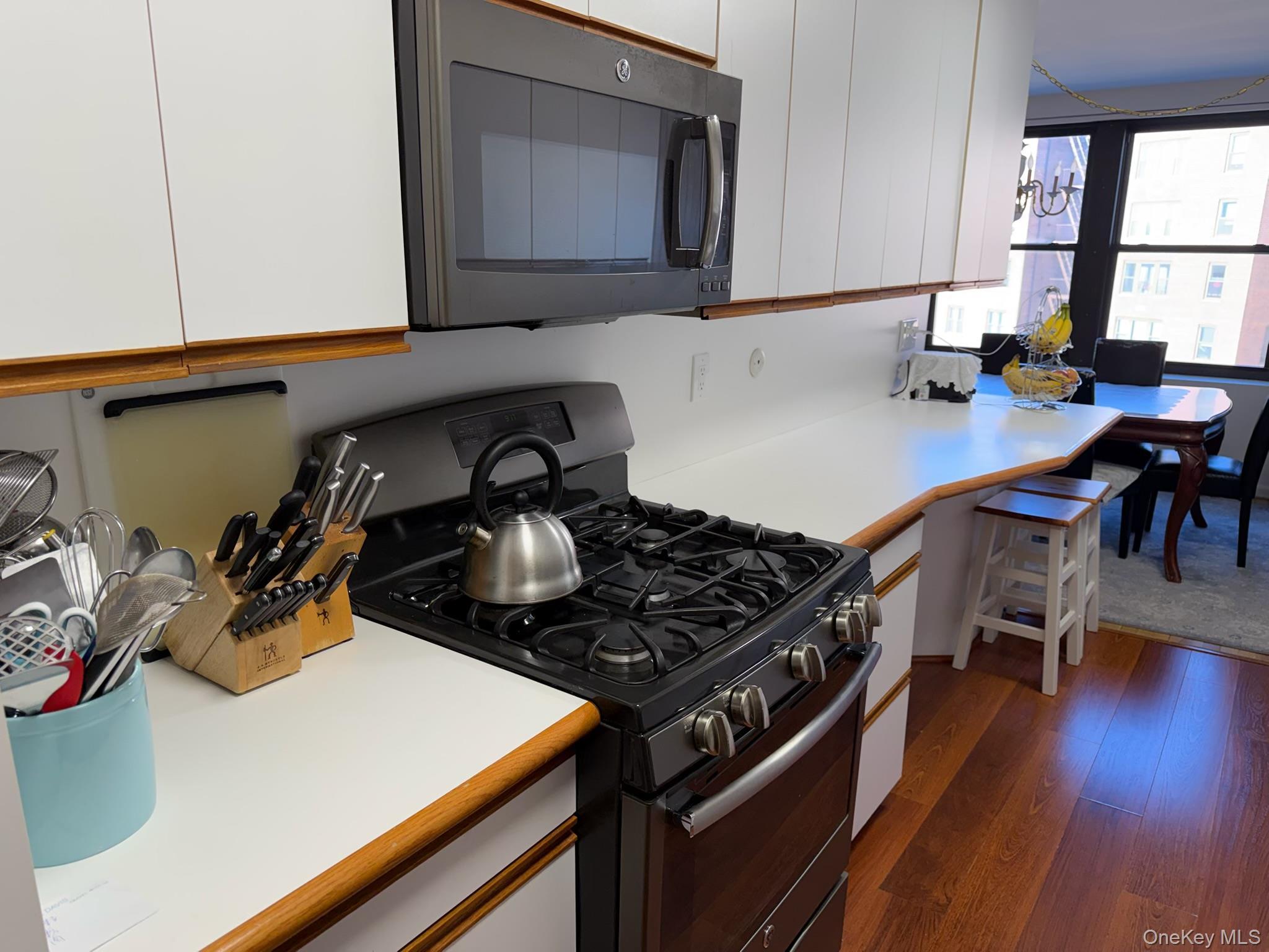 Coop Ave Queens, NY 11360, MLS-972037-9